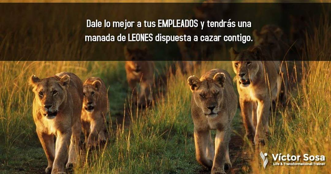 Publicación de Instagram