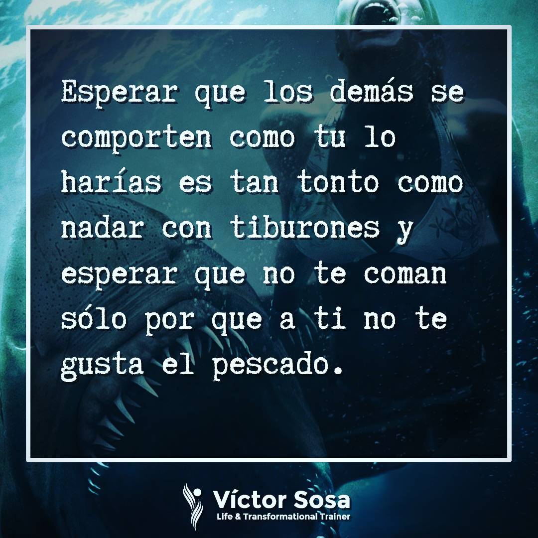 Esperar que los demás se comporten como tu lo harías es tan tonto como nadar con