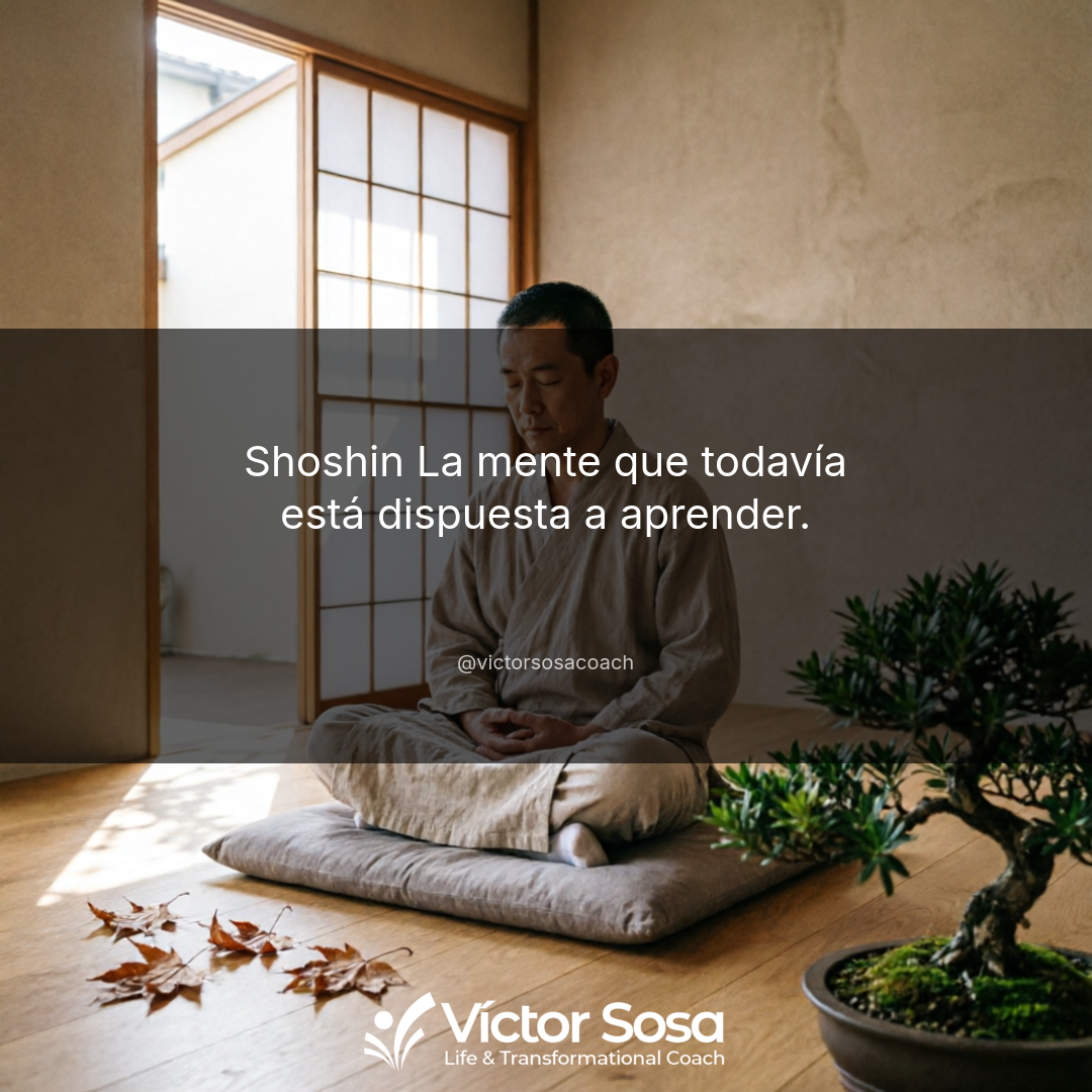 Shoshin La mente que todavia esta dispuesta a aprender.